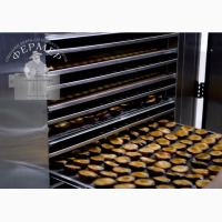 Инфракрасные сушильные шкафы Фермер-2040 для сушки яблочных чипсов, мясных чипсов