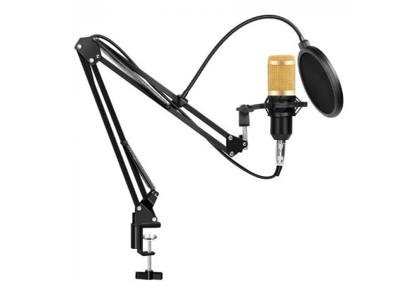 Фото 5. Cудийный микрофон BM800 с пантграфом поп-фильтр для стримов, озвучки отличный стартовый