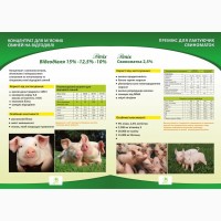 БМВД для свиноматок (лактуючих15% і поросних 5%)