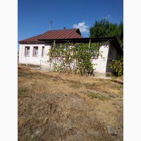 Продам дом село носачеве Черкасской области