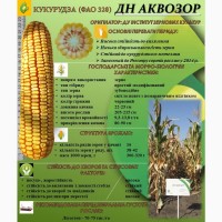 Насіння кукурудзи гібрид ДН Аквозор 320
