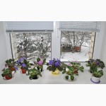 Продам недорого металлопластиковые окна WDS, VIKRA