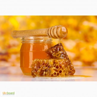 Компания БИО ЛЕНД закупает органический мёд оптом