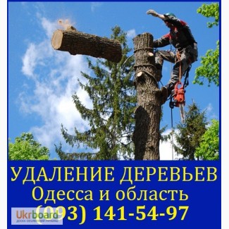 Спилить дерево Одесса
