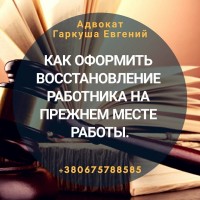 Юридичні послуги по ДТП Київ
