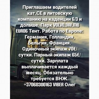 Водитель международник кат.CE 70eur