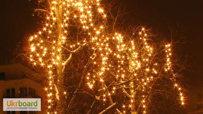 Фото 6. Световая нить(String-Light), светящиеся гирлянды, праздничная подсветка