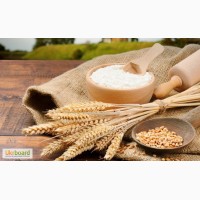 Мукомольное предприятие ЄВРОМЛИН реализует пшеничную муку