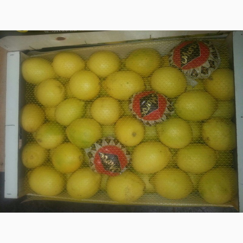 Фото 4. Лимоны Марокканские