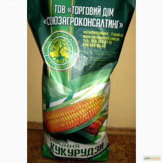 Семена кукурузы Кремень 200 ФАО 210