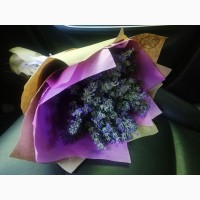 Доставка букетов доставка, доступные цены, купить цветы с доставкой, салонная флористика