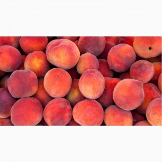 Продаются персики