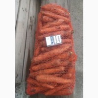 Оптом продам морковь высокого качества, Львовская и Волынская области