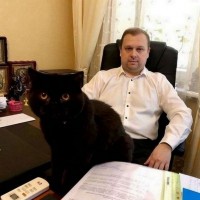 Допомога адвоката в Києві