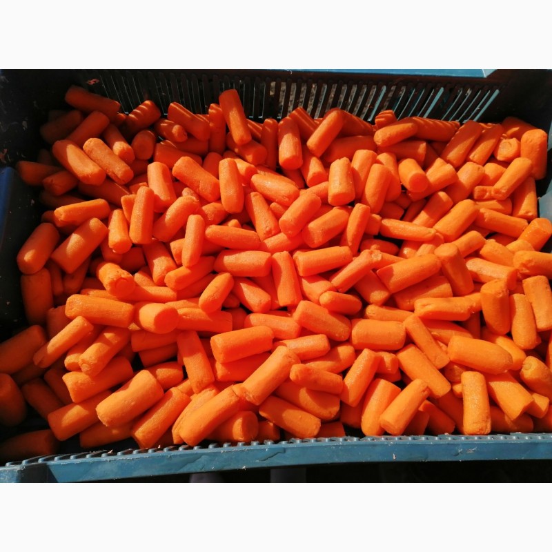 Фото 4. Продам міні моркву заморожену бланшовану