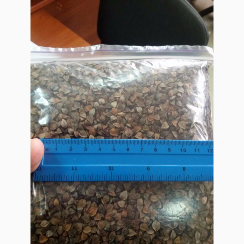 Фото 3. Канадские семена гречки Гренби, Дикуль - 1реп