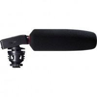 Микрофон-пушка, Микрофон на камеру, Рекордер TASCAM DR-10 SG
