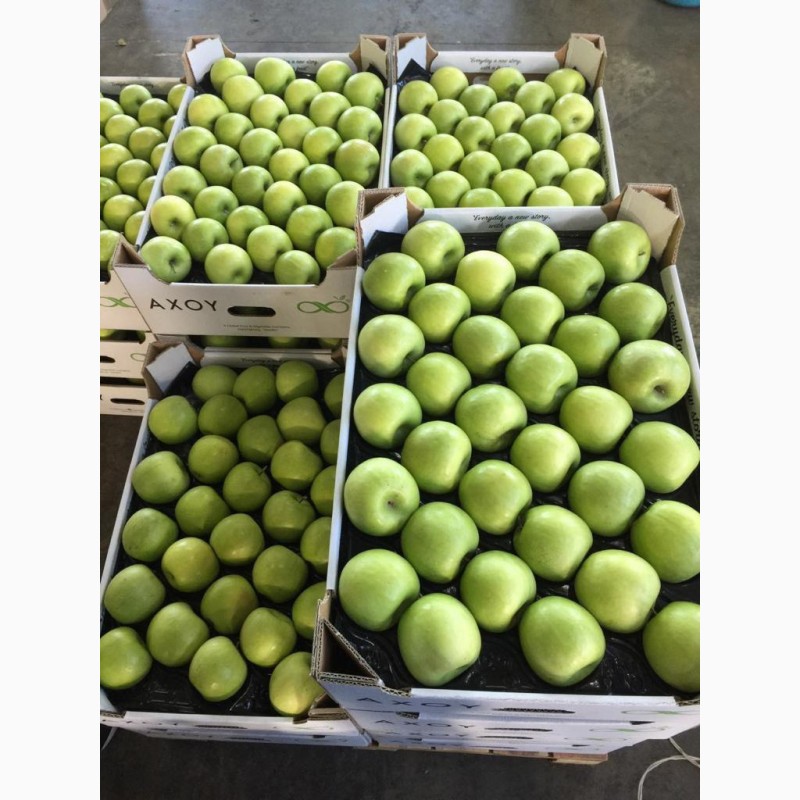 Фото 6. Продам яблука першого класу оптом урожай 2020, Закарпатська обл