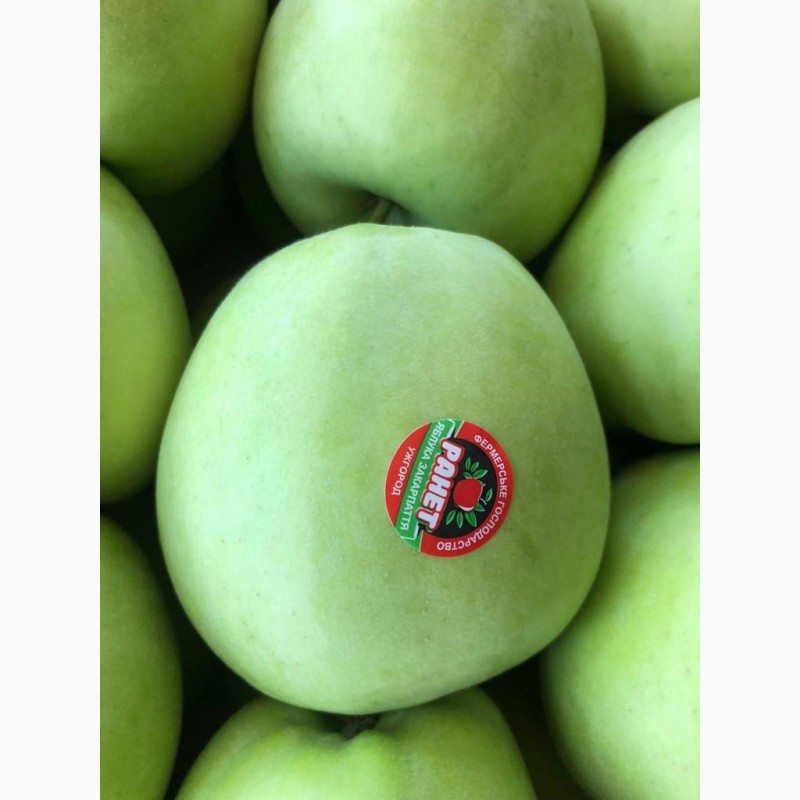 Фото 9. Продам яблука першого класу оптом урожай 2020, Закарпатська обл