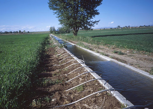 Фото 3. Создание и очистка поливных водных каналов