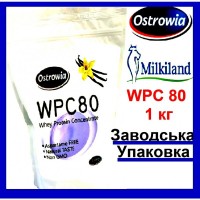 Протеїн WPC 80 Ostrowia | Сивороточний білок