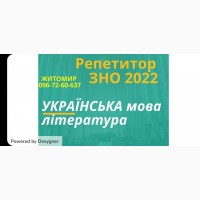 Репетитор ЗНО 2022 Українська мова/література онлайн, очно( Житомир)