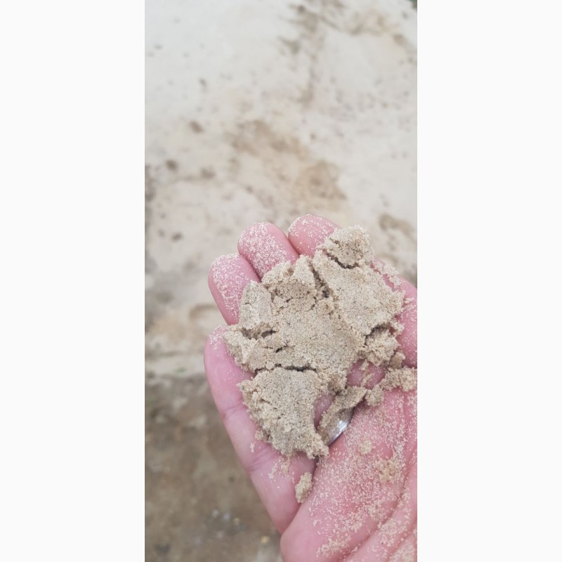 Фото 3. Речной песок.Овражный песок.Вторичный песок.Супесь.Васильков