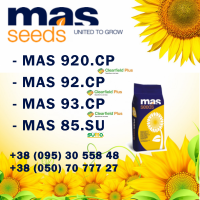 Пропонуємо насіння соняшника MASseeds 2023