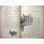 Слепцова М.Н. Жилища и нравы птиц. С.-Петербург 1901г., Тип. Альтшулера