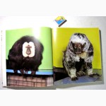 Обезьяны и человекообразные, Альбом. Бергер 1986 Monkeys and Apes. Berger Tylinek Англ.яз