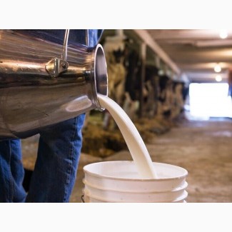 Продам фермерское молоко оптом на постоянной основе