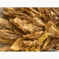 Продам перетертий/листковий свіжий тютюн