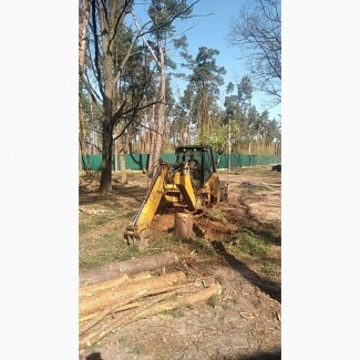 Професійний спил та видалення дерев у Києві та Київській області