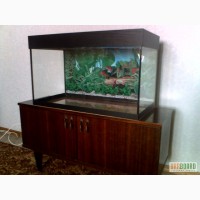 Продам аквариум 120л., тумбу, оборудование и декор