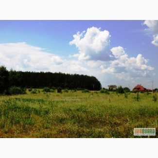 11 га под строительство, Березовка, Киев 17 км, возле леса, трасса Е-40 (на Европу)