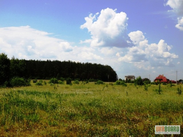 11 га под строительство, Березовка, Киев 17 км, возле леса, трасса Е-40 (на Европу)