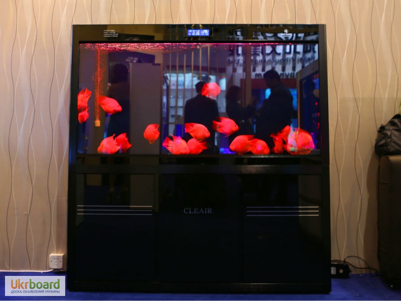 Фото 5. Интернет-магазин аквариумов из стекла,из акрила и нано-аквариумы.