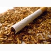 Качественный тютюн от производителя, Вирджиния, Тернопольский, Берли