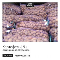Картофель | Продажа картошки | ОПТ/Розница