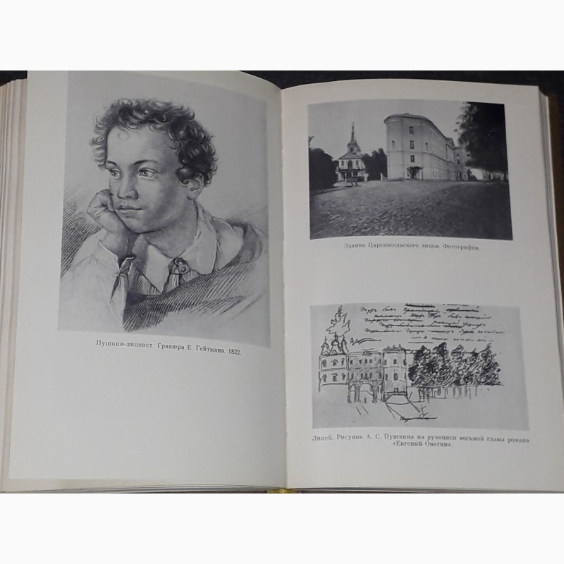 Фото 7. А. Гессен - Все волновало нежный ум. Пушкин среди книг и друзей. 2-е издание 1983 год
