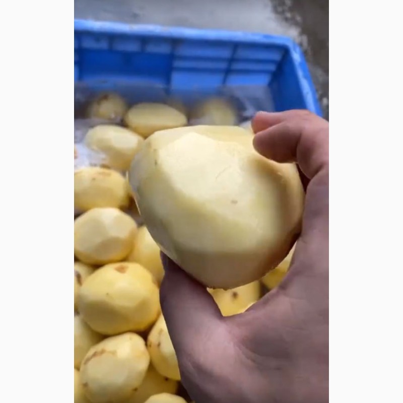 Фото 9. Машина для ножового очищення картоплі STvega KPel Potato H500