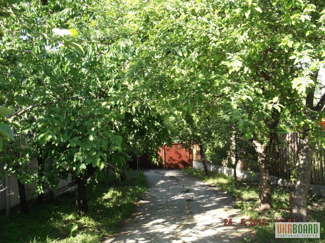 Фото 3. Дом у реки рядом с курортом в Миргороде