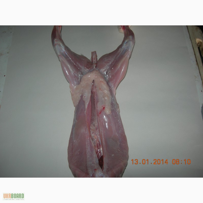 Фото 6. Продам мясо кролика