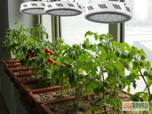 Светодиодная лампа для растений, теплиц, оранжерей, гроубоксов 90W