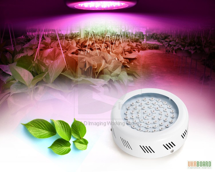 Фото 6. Светодиодная лампа для растений, теплиц, оранжерей, гроубоксов 90W