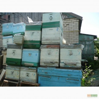 Продам улья и весь пчелоинвентарь