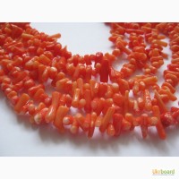 Корал помаранчевий, 5ть шнурів