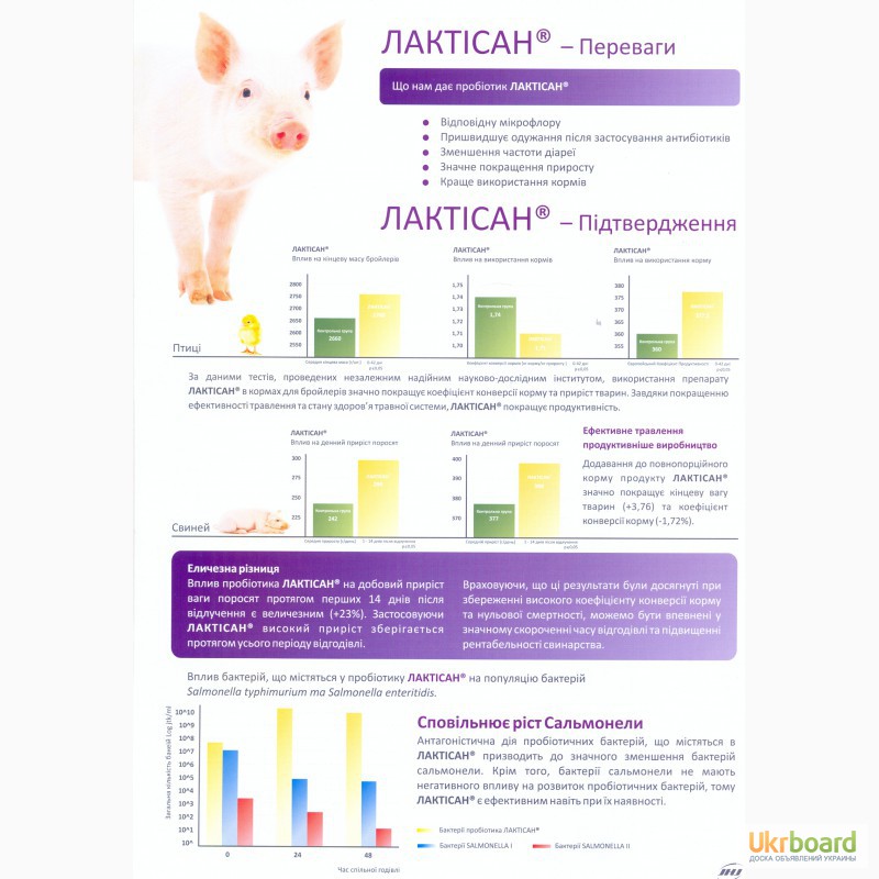 Фото 4. Lactisan (JHJ, Польща) - новий пробіотик для свиней, ВРХ, курей та ін. приці