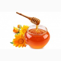 Куплю мед мелким и крупным оптом