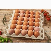 Продам курячі яйця дешево